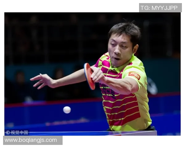 上海排球队以80分领跑大师赛积分榜展现强劲实力