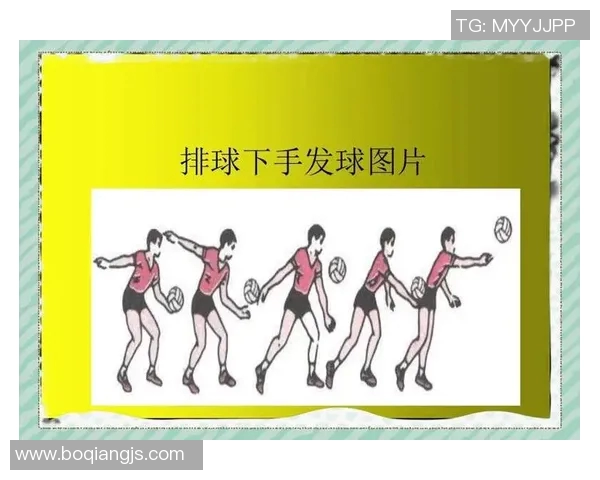 从零起步全面掌握排球战术技巧与实战应用指南 从零起步全面掌握排球战术技巧与实战应用指南